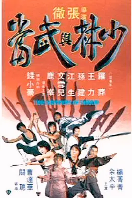 《少林与武当》：功夫对决背后的恩怨情仇，一场关于正义与人性的拷问