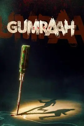 《双面线索》：悬疑谜局中的人性博弈，真相隐藏在谎言之下！