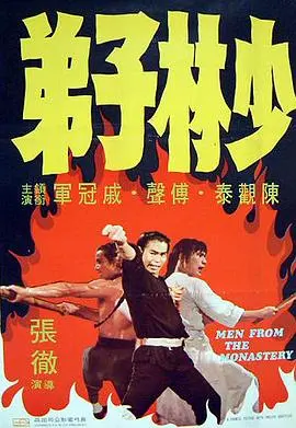 《少林子弟》：武侠片里的泥石流？别让“老鼠也能上天堂”的奇葩情节毁了你的少林梦！