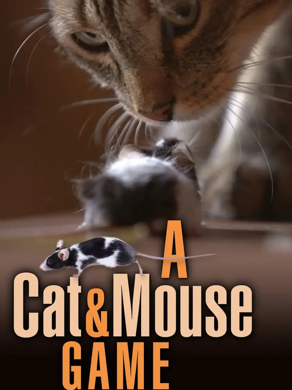 《猫鼠游戏 2019》：明日将至，看“妖怪手表”如何破解这场惊天阴谋！