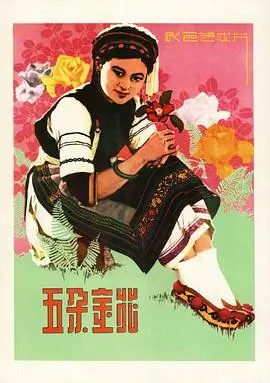 五朵金花 海报